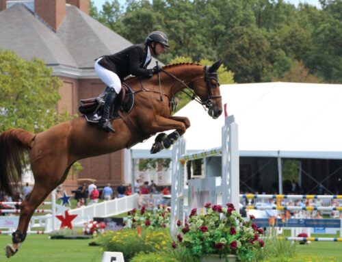 Mastering the Art of Show Jumping