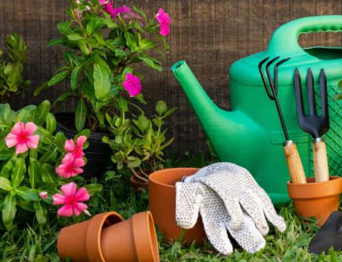 ABC Gardening Hobby
